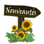 Logo "Nouveautés DM"